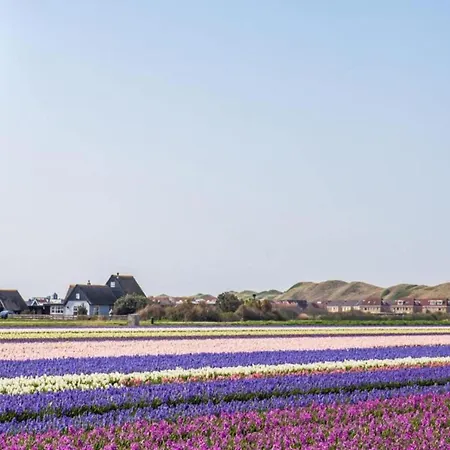 189 In Julianadorp Aan Zee Lägenhet *