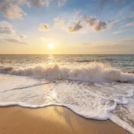 189 In Julianadorp Aan Zee Lägenhet De Zandloper