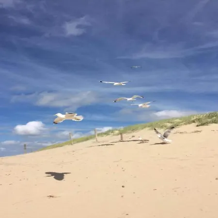 189 In Julianadorp Aan Zee アパート De Zandloper