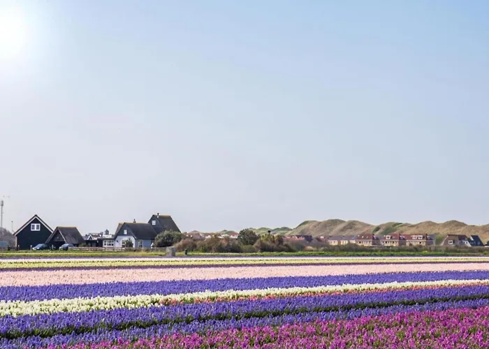 189 In Julianadorp Aan Zee アパート *