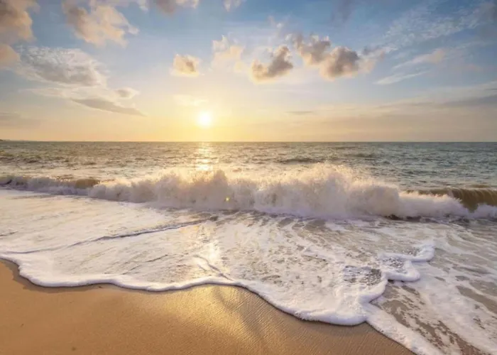 189 In Julianadorp Aan Zee Lägenhet De Zandloper