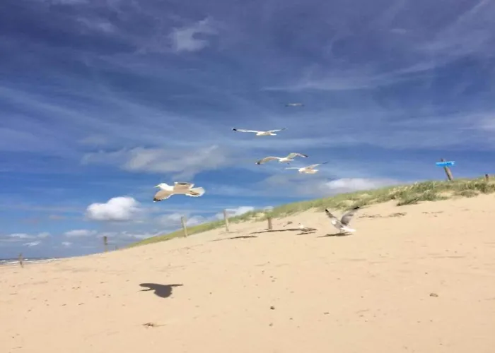 189 In Julianadorp Aan Zee アパート De Zandloper