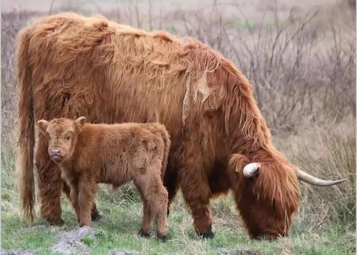 Lägenhet 189 In Julianadorp Aan Zee