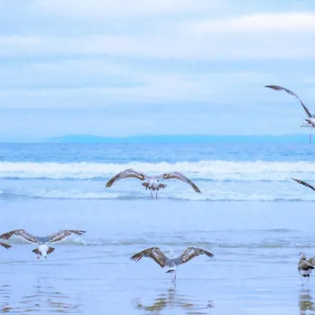 189 In Julianadorp Aan Zee De Zandloper