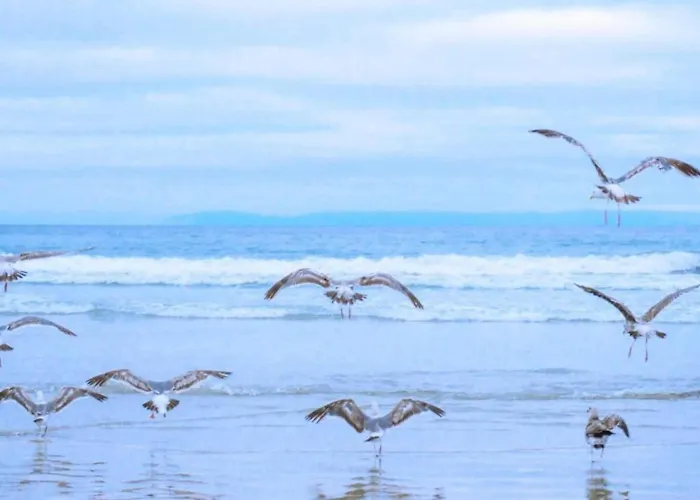 189 In Julianadorp Aan Zee De Zandloper